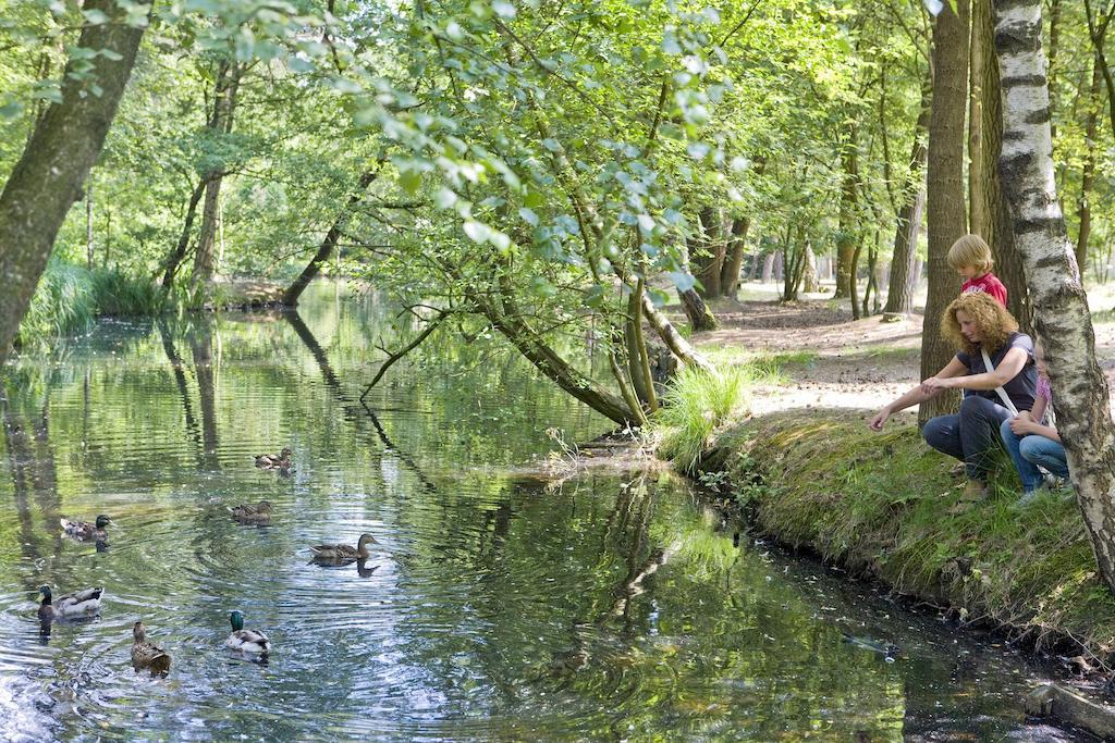 Center Parcs Meerdal Limburg-Brabant America Esterno foto